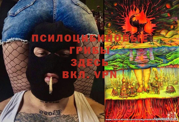 a pvp Аркадак
