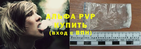 СК Арсеньев