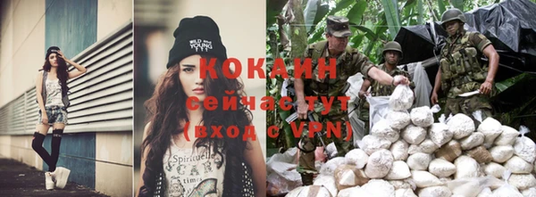 a pvp Аркадак