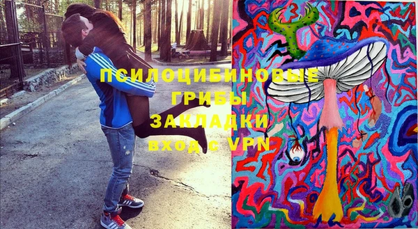 СК Арсеньев